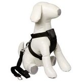 training & veiligheid