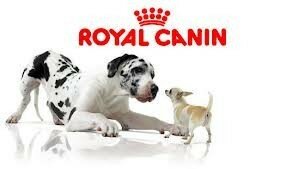 royal canin hond