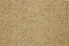 Kuikenkruim 2 kg Kuiken opfokkorrel 0-6 weken