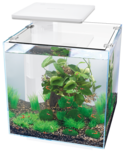 Superfish Qubic 30 pro Aquarium 30 liter wit