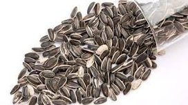 Zonnepitten gestreept 1 kg