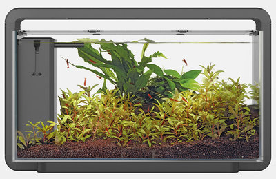 SuperFish Home 30 aquarium zwart