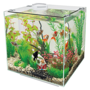 Superfish Qubic aquarium wit 30 liter