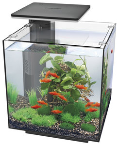 Superfish Qubic 30 pro Aquarium 30 liter zwart