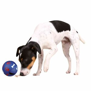 Snack-Bal Interactief hondenspeelgoed 
