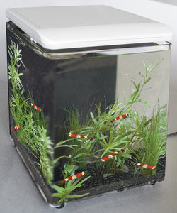 SuperFish Home 8 aquarium wit