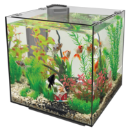 Superfish Qubic aquarium zwart 30 liter