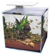 Superfish Qubic 60 pro Aquarium 60 liter wit