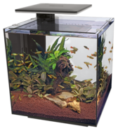 Superfish Qubic 60 pro Aquarium 60 liter zwart