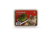 Kattengras in plastic doosje 130 gram