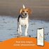 Weenect GPS tracker hond_